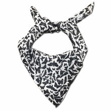 Load image into Gallery viewer, Butterfly + Moth Specimen Scarf