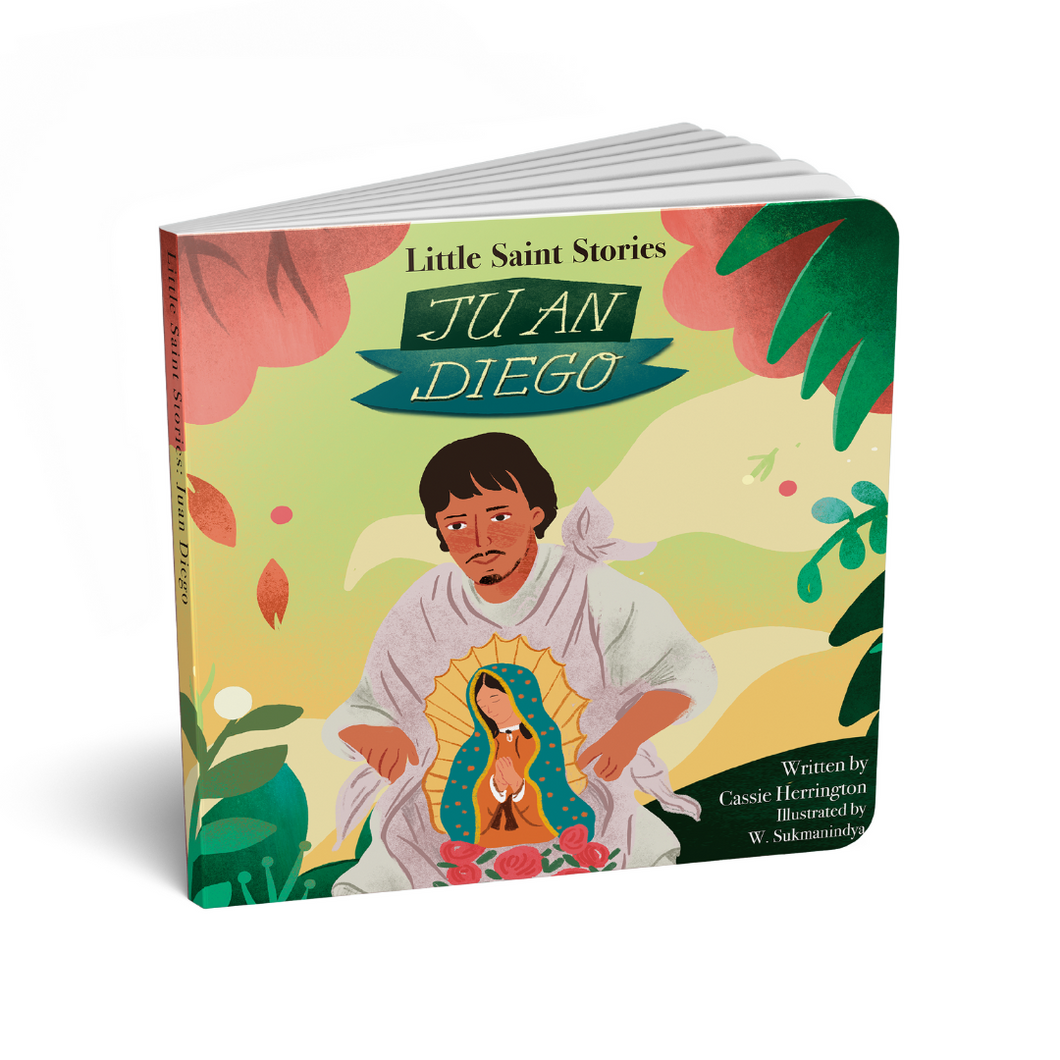 Catholic Children's Book Juan Diego