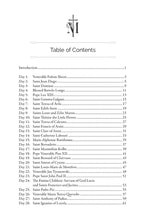 Load image into Gallery viewer, Each day throughout this consecration, learn about a different Marian devotion, teaching or story as given to us by the saints and others!
